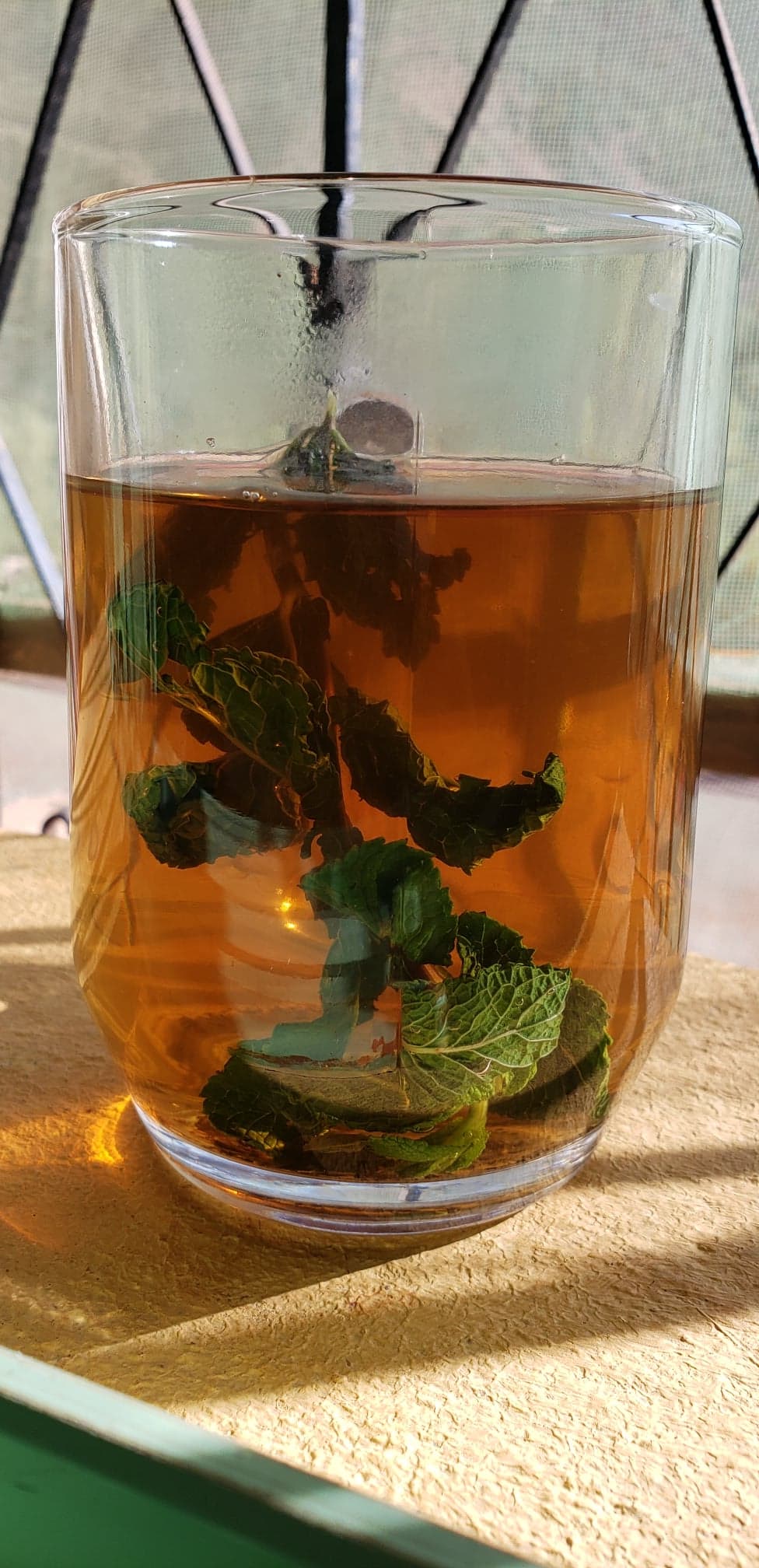 Healthy Moroccan Mint Tea