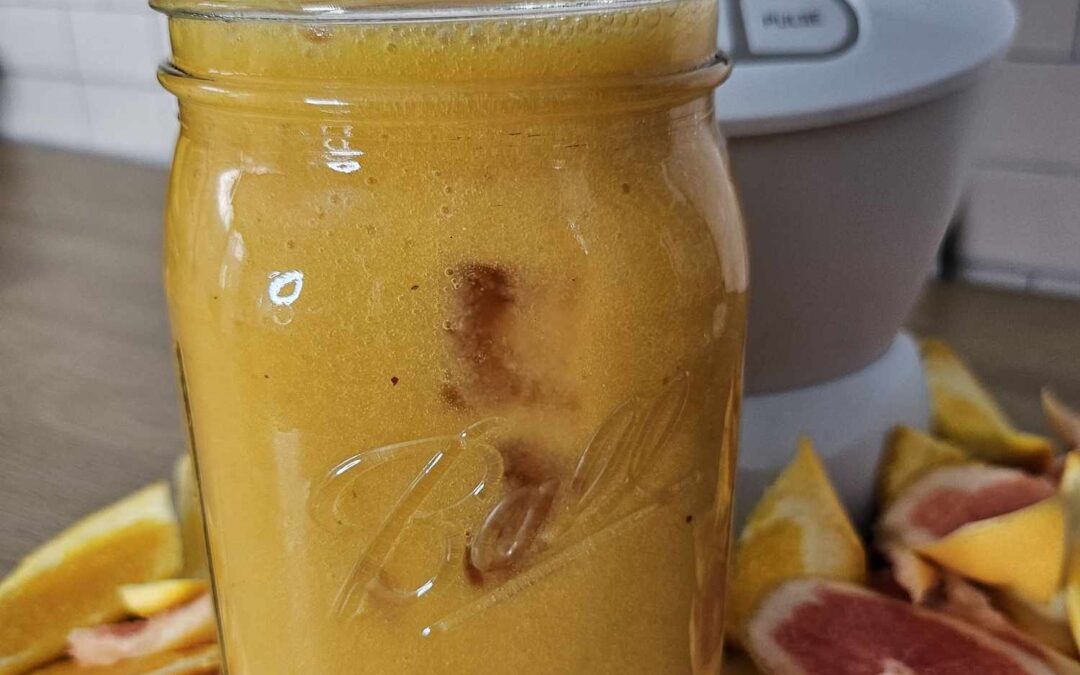 Fresh Citrus Mango Juice
